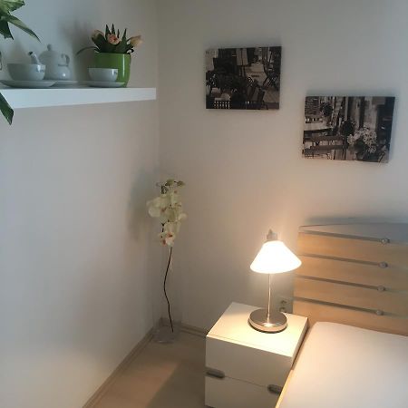 Apartment Pod Kotnovem ターボル エクステリア 写真