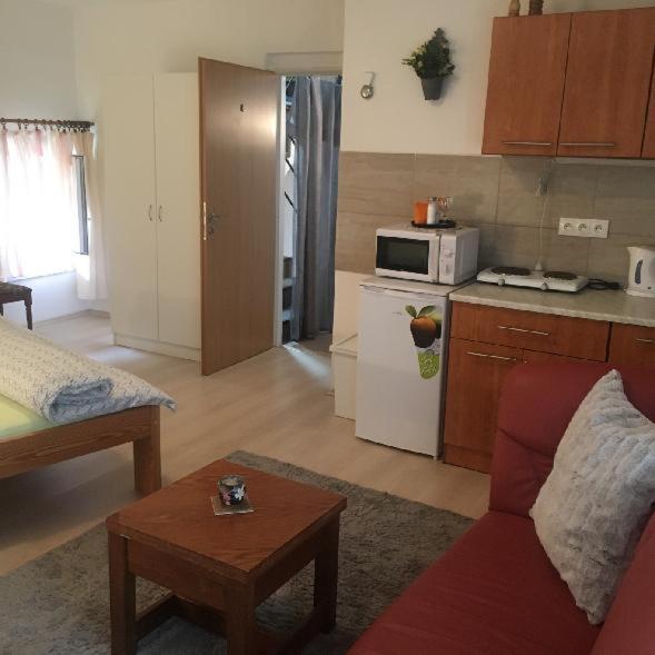 Apartment Pod Kotnovem ターボル エクステリア 写真