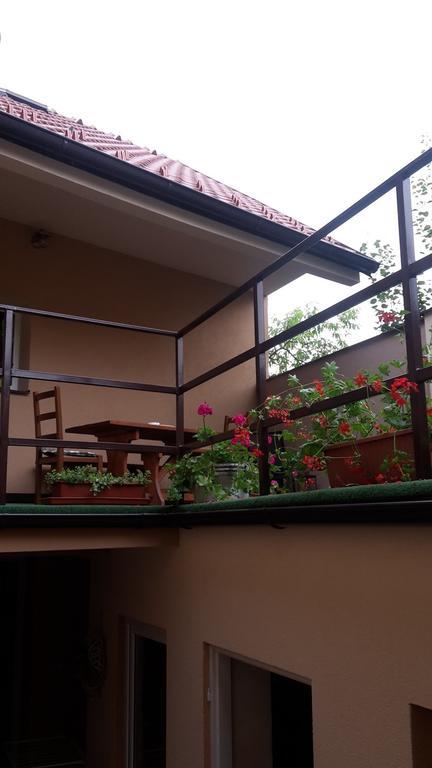 Apartment Pod Kotnovem ターボル エクステリア 写真