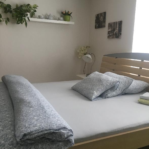 Apartment Pod Kotnovem ターボル エクステリア 写真